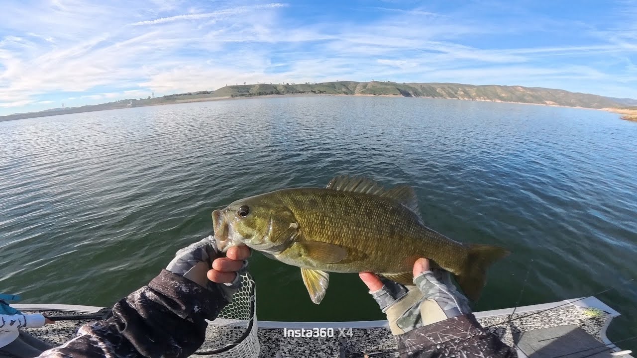 Castaic Lake Bass Fishing, PB Small Mouth n PB Large Mouth for my son