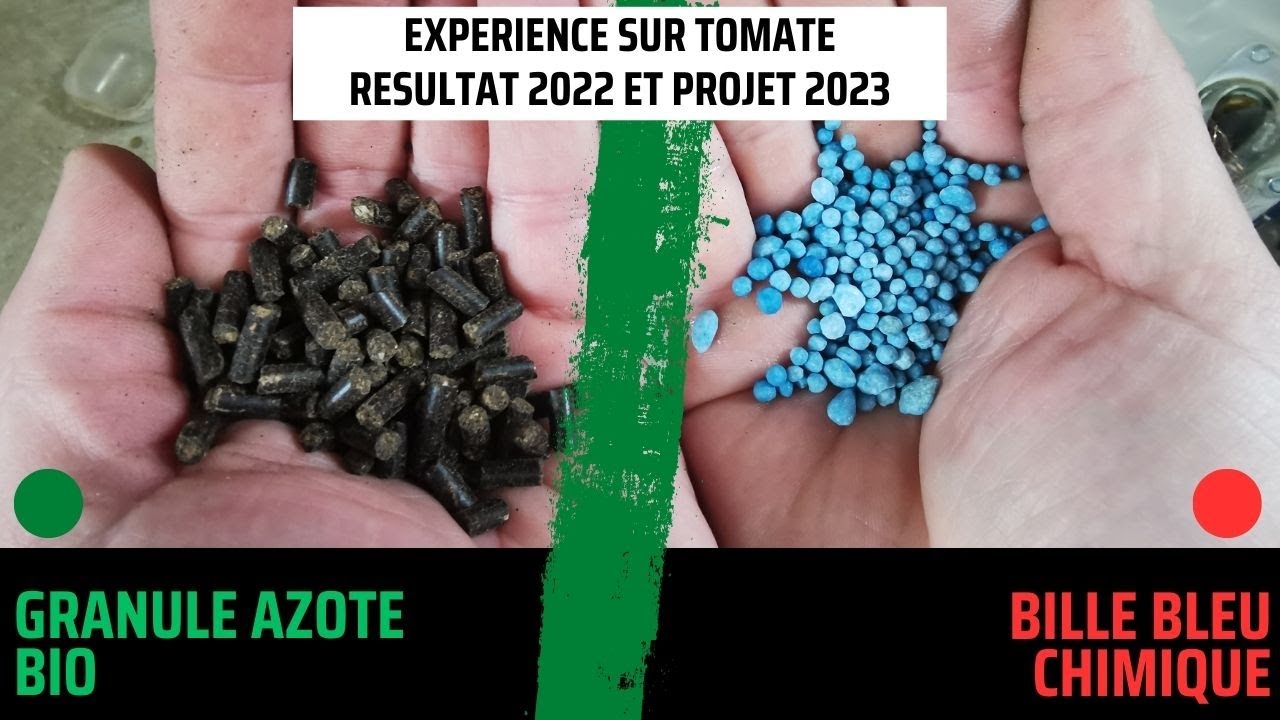 Retour expérience sur engrais bio  bille azotés et engrais chimique bille bleu, qui va gagner ?