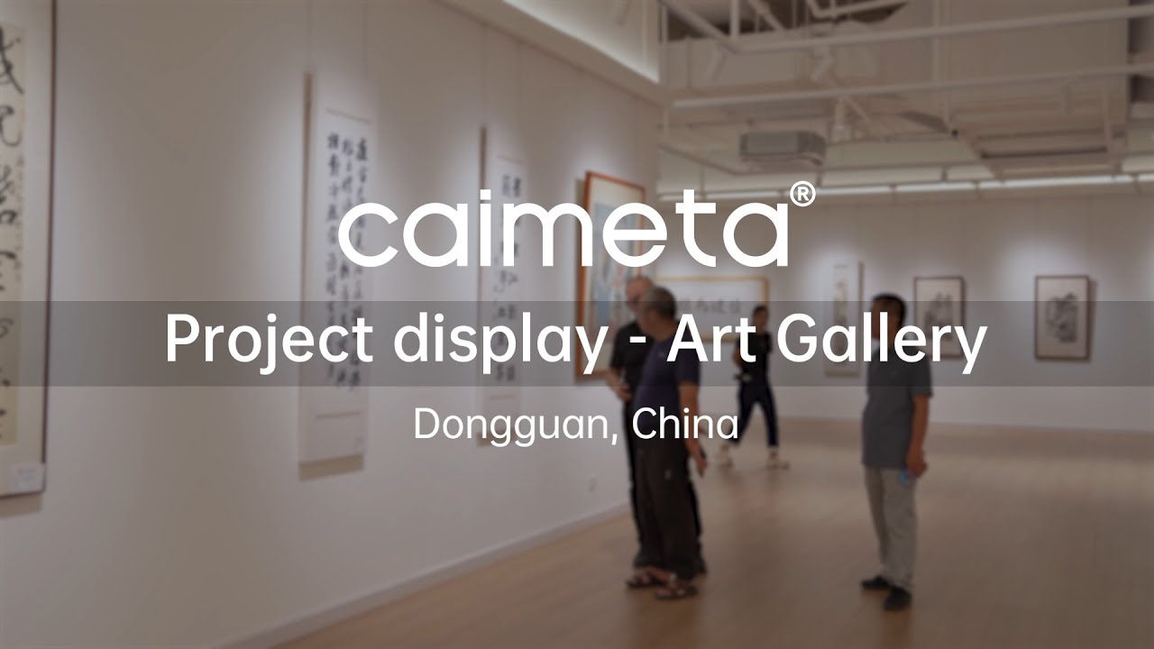 Caimeta Case Study | Art Gallery Lighting in Dongguan
