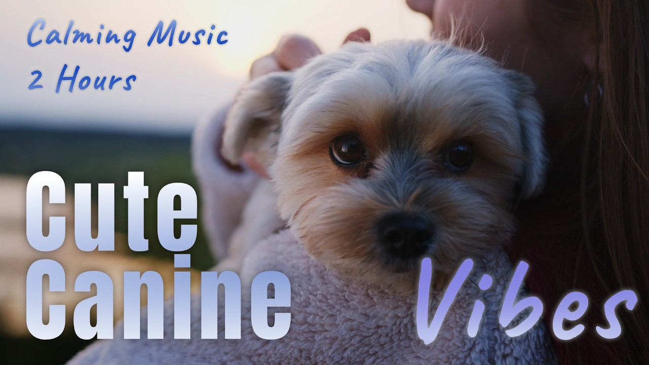 Puppies & Dogs Brainsmaxing – Concentration Music & Cute Canine Vibes for Focus