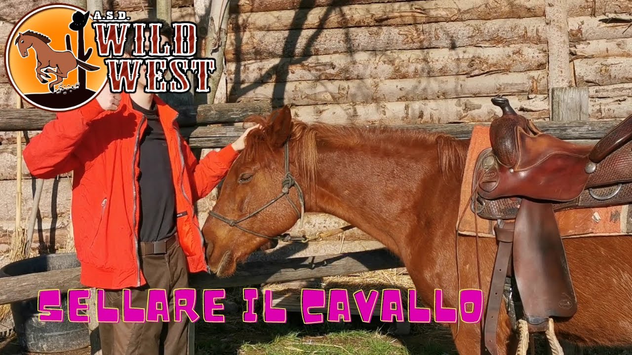 Come si mette la sella al cavallo
