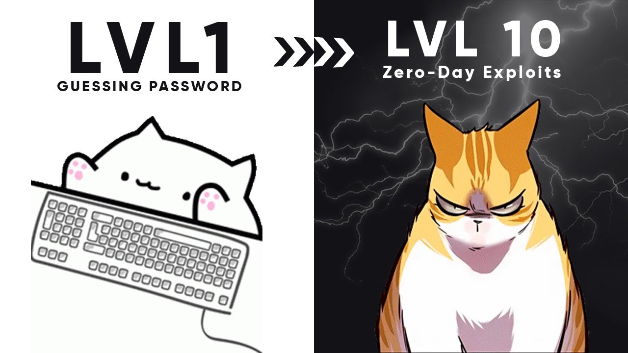 10 Levels of Password Hacking