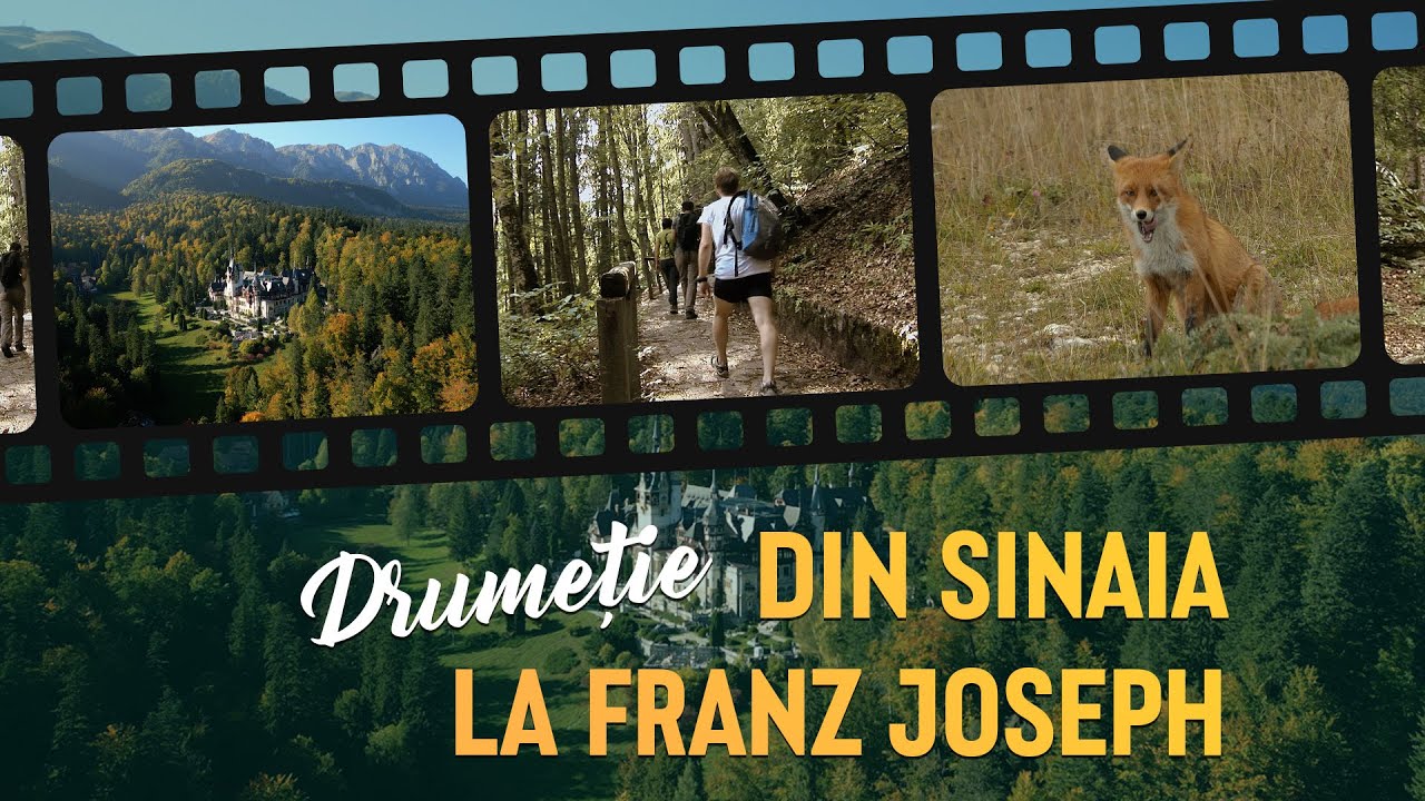 Drumeție: Sinaia - Poteca Regală - Poiana Stânii - Stâncile Franz Joseph | Video Guide