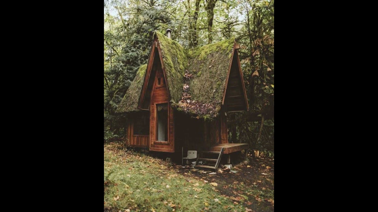 🌲  Cozy Cabincore Vibes  Music for Your Rustic Escape  🪵