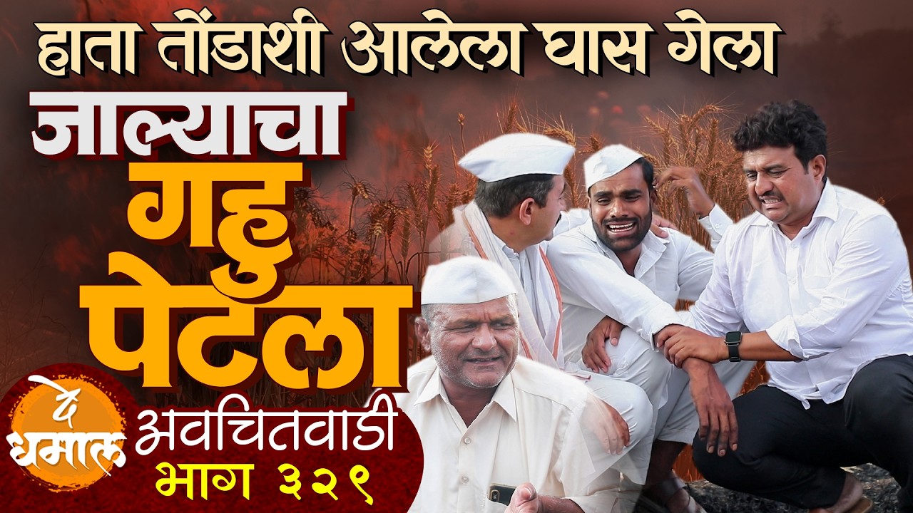 जाल्याचा हाताशी आलेला गहु पेटला | अवचितवाडी भाग - ३२९ | Avchitwadi Episode - 329 | De Dhamal