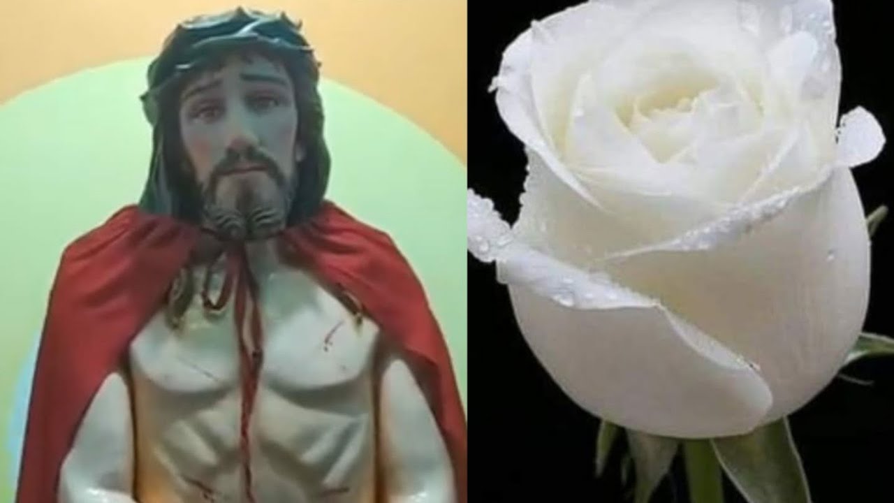 Holy Rosary And Yesu Nama Japam June 22