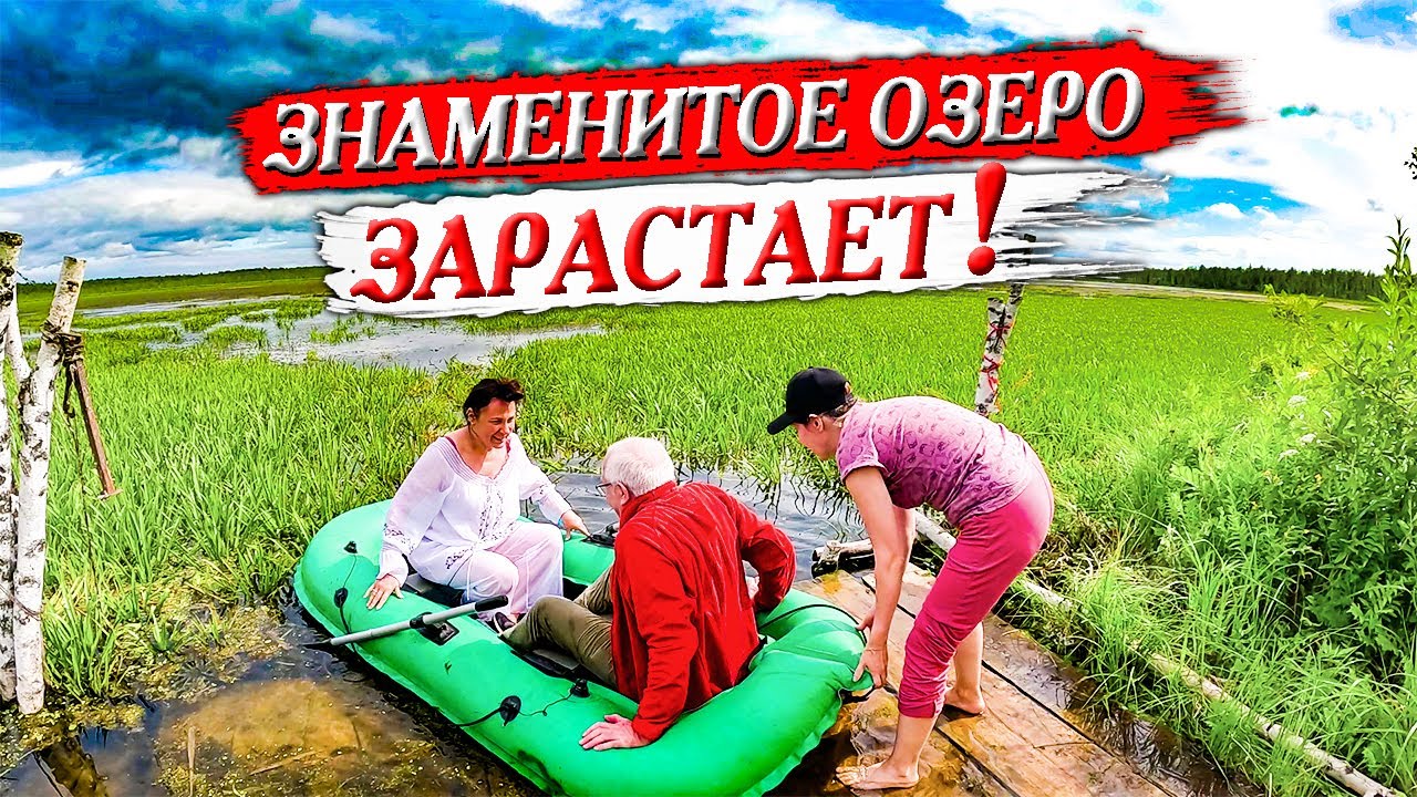 436. Озеро Шайтан зарастает! Благодать на мистическом месте. Деревня  Окунево Омская область.