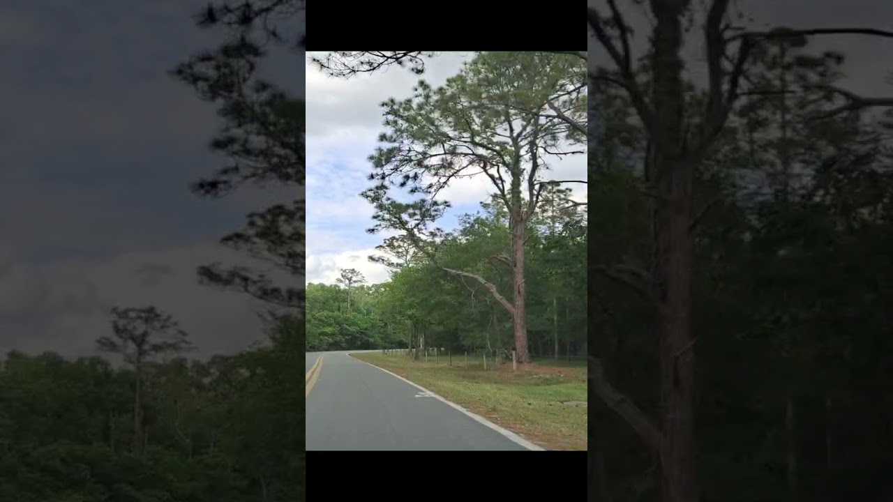 Rockridge Road Ride in Polk County Florida