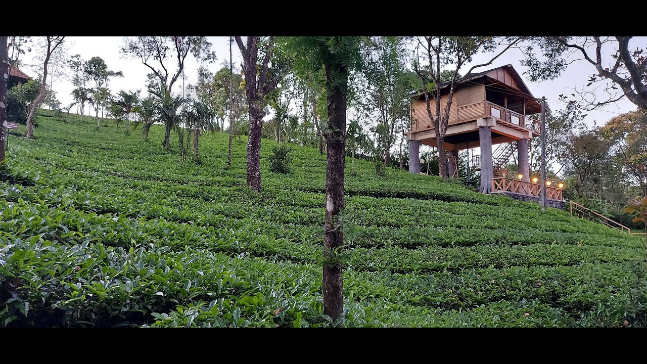 Trip to Holiday Vagamon, Vagamon Ep #07
