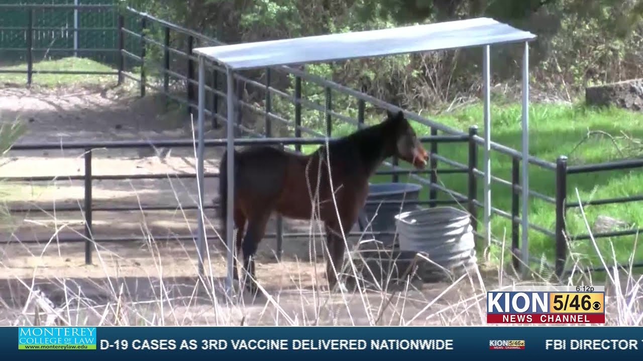 Monterey Zoo ranks #5 on list of worst zoos for elephants by In Defense of Animals