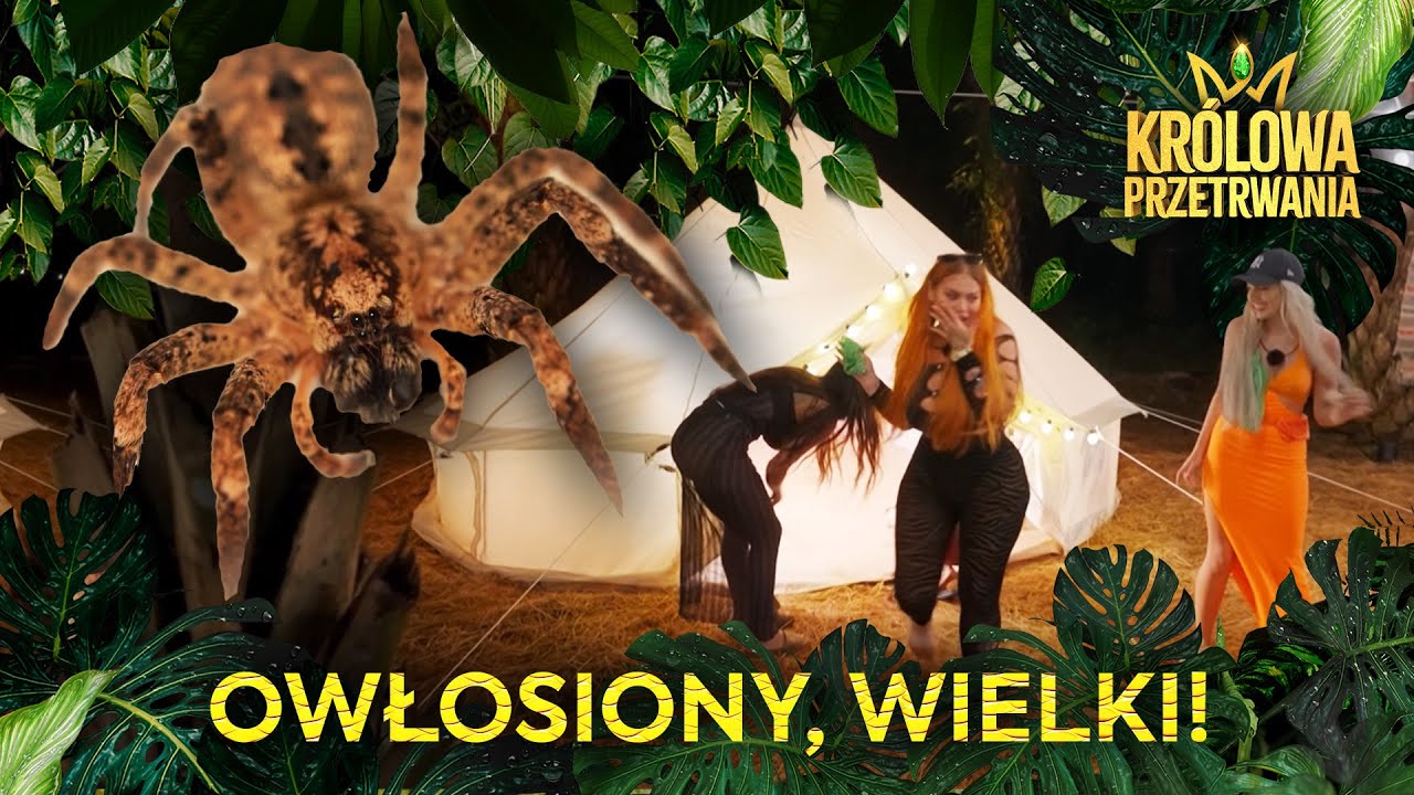 INFLUENCERKI WESZŁY DO DŻUNGLI. PRZEŻYŁY PRAWDZIWY SZOK 😱 | KR&Oacute;LOWA PRZETRWANIA 🐍👑