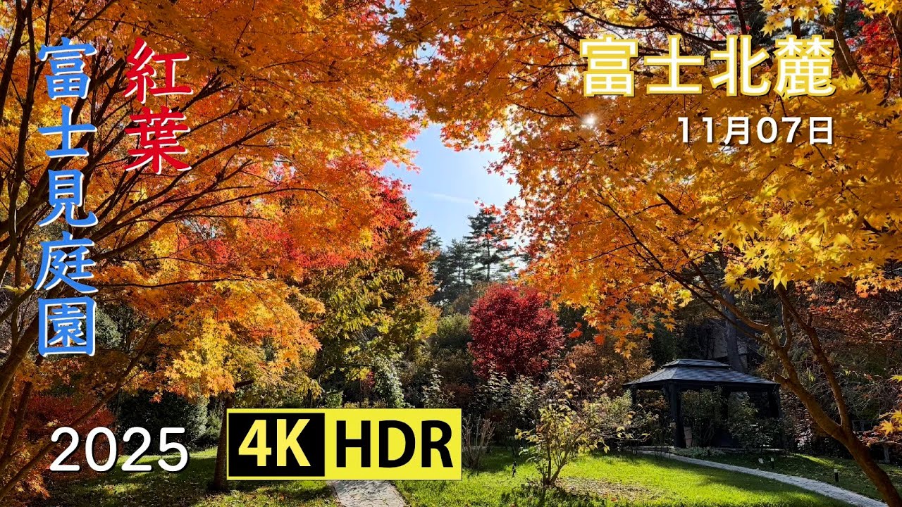 2025 富士北麓富士見庭園の紅葉(4K-HDR) Autumn Colors At Fuji View Garden In North Foothill Of Mt. Fuji(UHD-HDR)