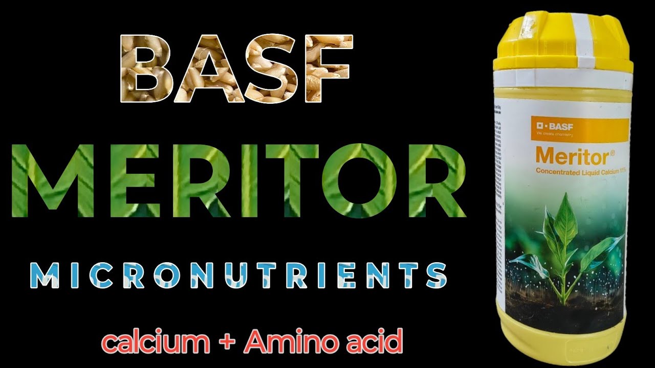 BASF MERITOR MICRONUTRIENTS! BEST PLANTS NUTRITION!#soyabean #BASF#FARMING