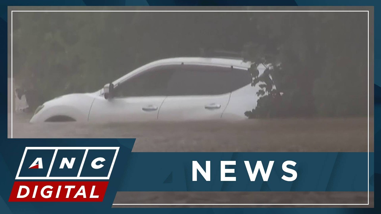 Heavy rain batters New Zealand's south island | ANC