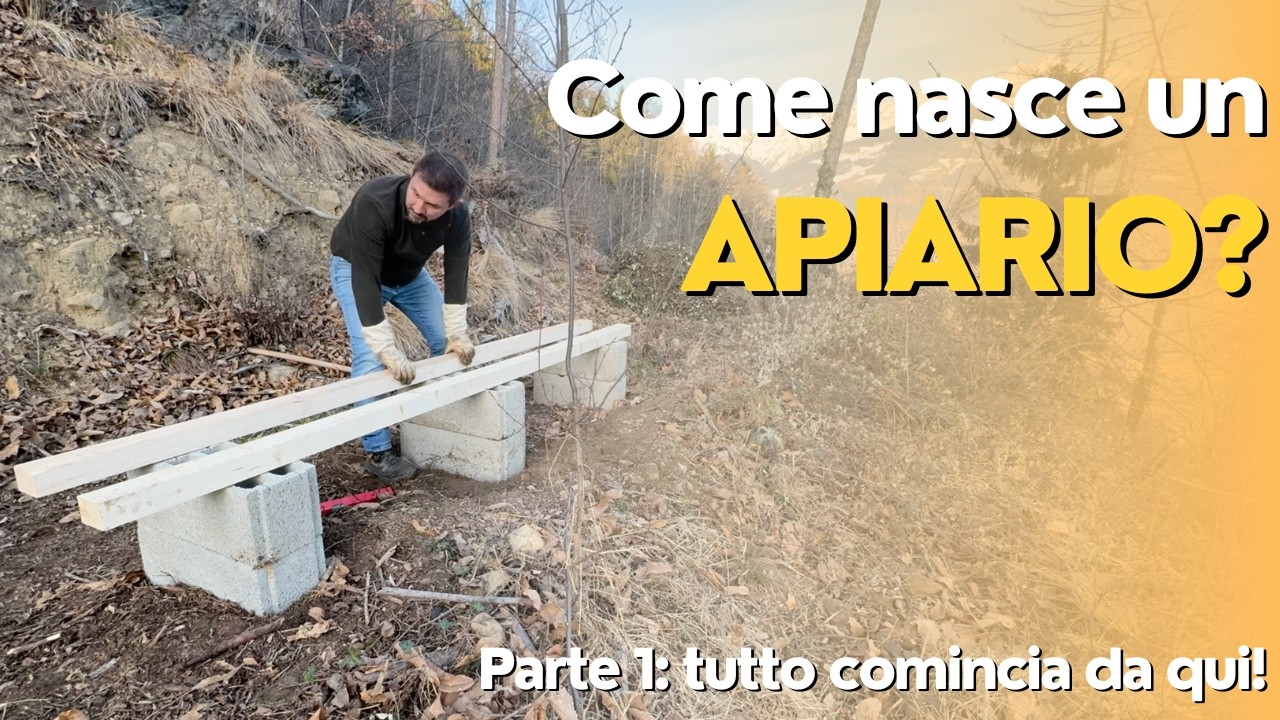 Come nasce un apiario - Parte 1: tutto comincia da qui!