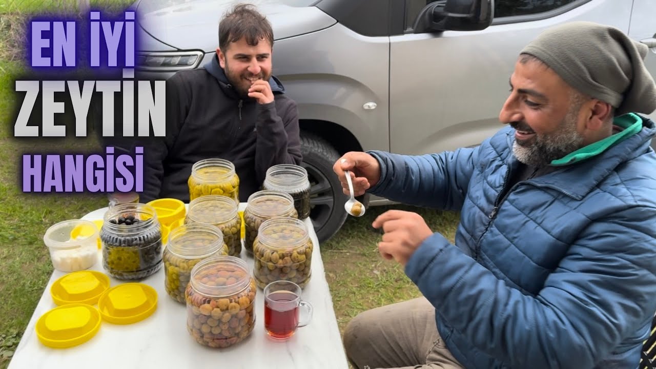 Zeytin Ağacı Nasıl Budanır? Zeytin Çeşitleri Nasıl Kurulur? #budama #erenvural #zeytinbudama