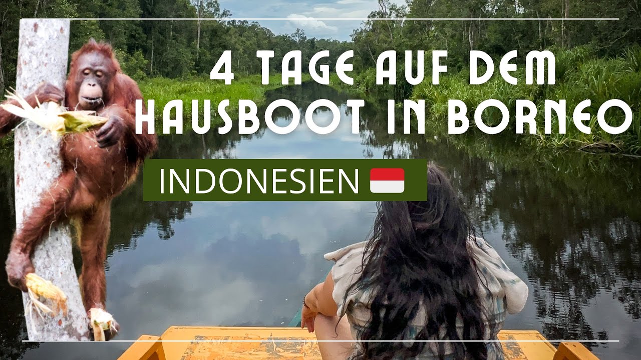 4 Tage Hausboot Tour in Borneo im Tanjung Puting Nationalpark - deutsch - Vlog - Preise - Anreise