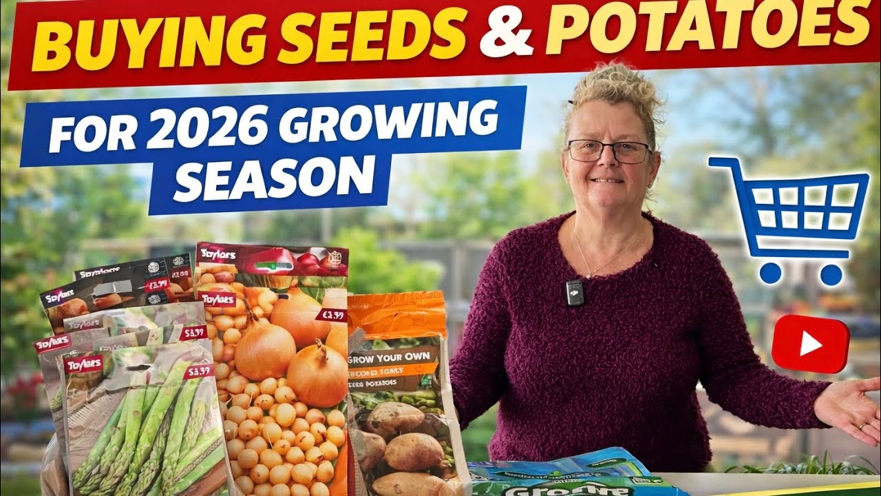 Allotment Diaries 2026 Potatoes for Chitting, Seeds & a Fresh Start!