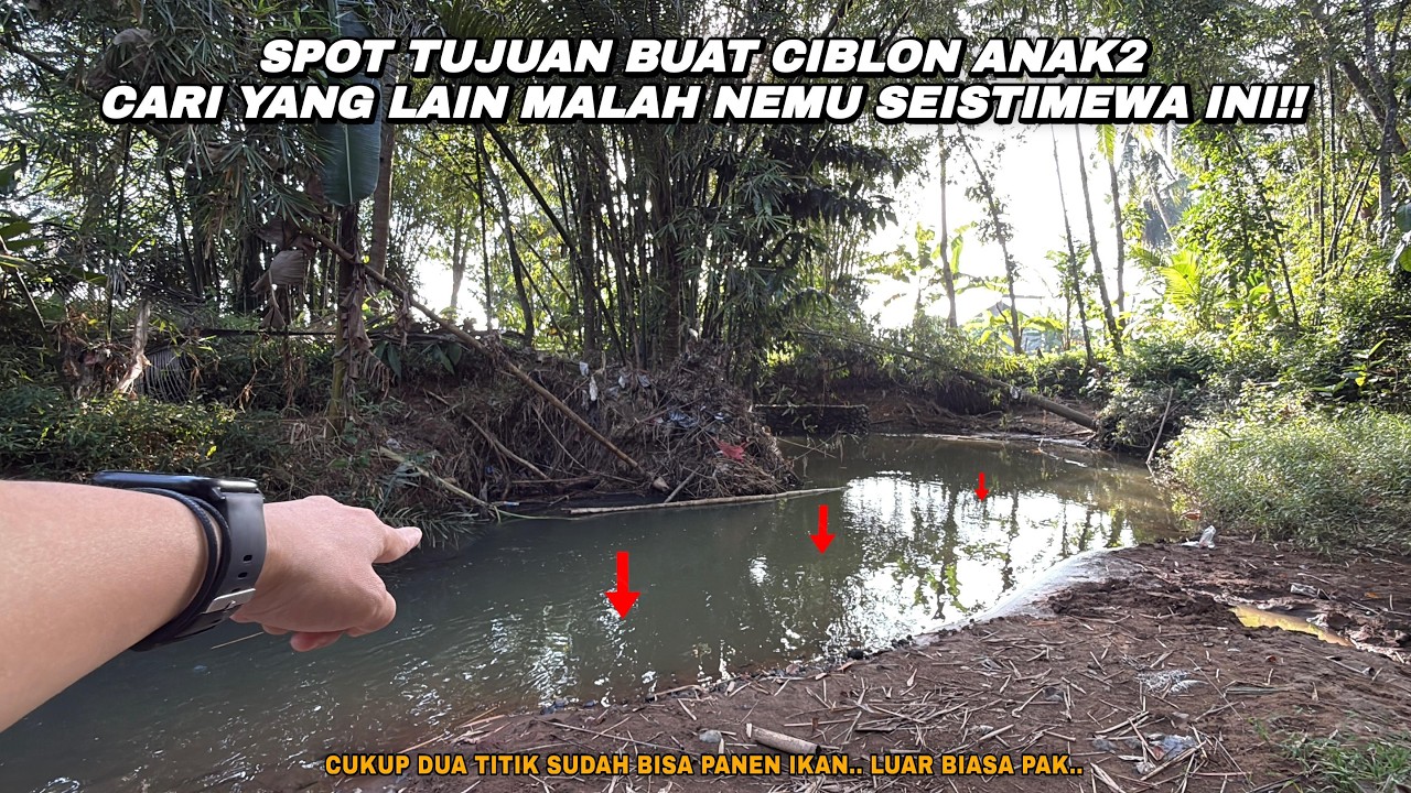 LUAR BIASA CUKUP DUA TITIK UDAH BISA PANEN IKAN!! Mancing wader teknik kumbul umpan rasbora