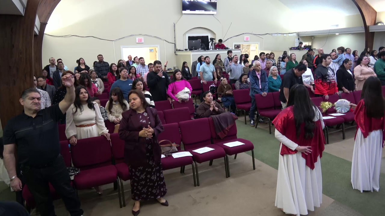 Alabanza En Vivo