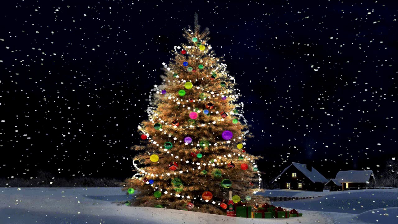 O Tannenbaum, o Tannenbaum, der Opa hängt am Gartenzaun!