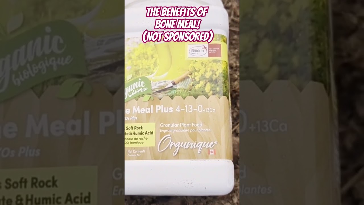 Why Use Bone Meal in the Garden? #fertilizer #garden