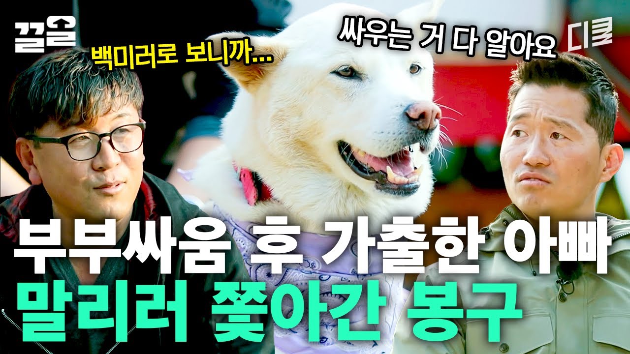 시켜줘, 우리 가정불화 소방관🔥 봉구가 엄마, 아빠 부부싸움 말리는 확실한 방법! 진돗개의 특징? | 고독한훈련사