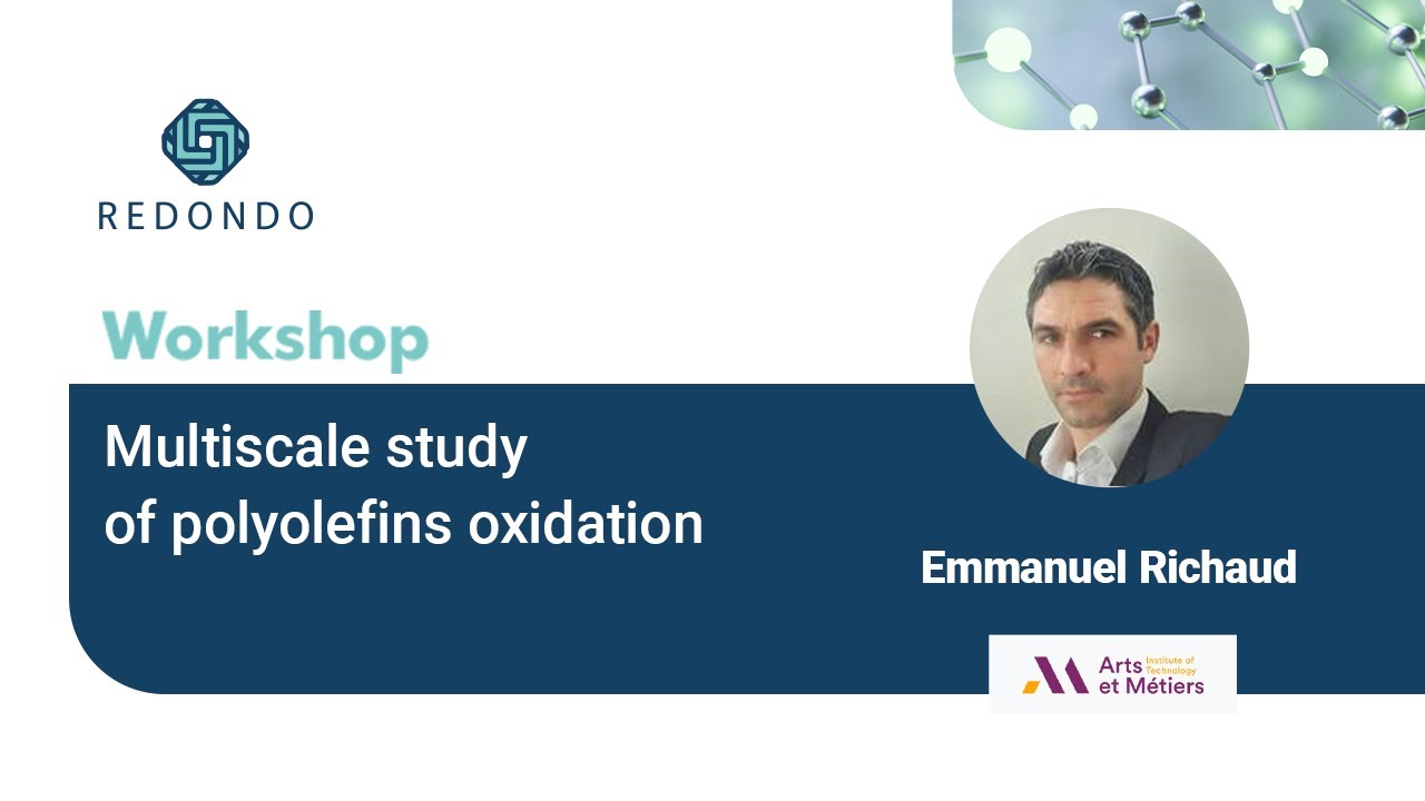 Multiscale Study of Polyolefins Oxidation