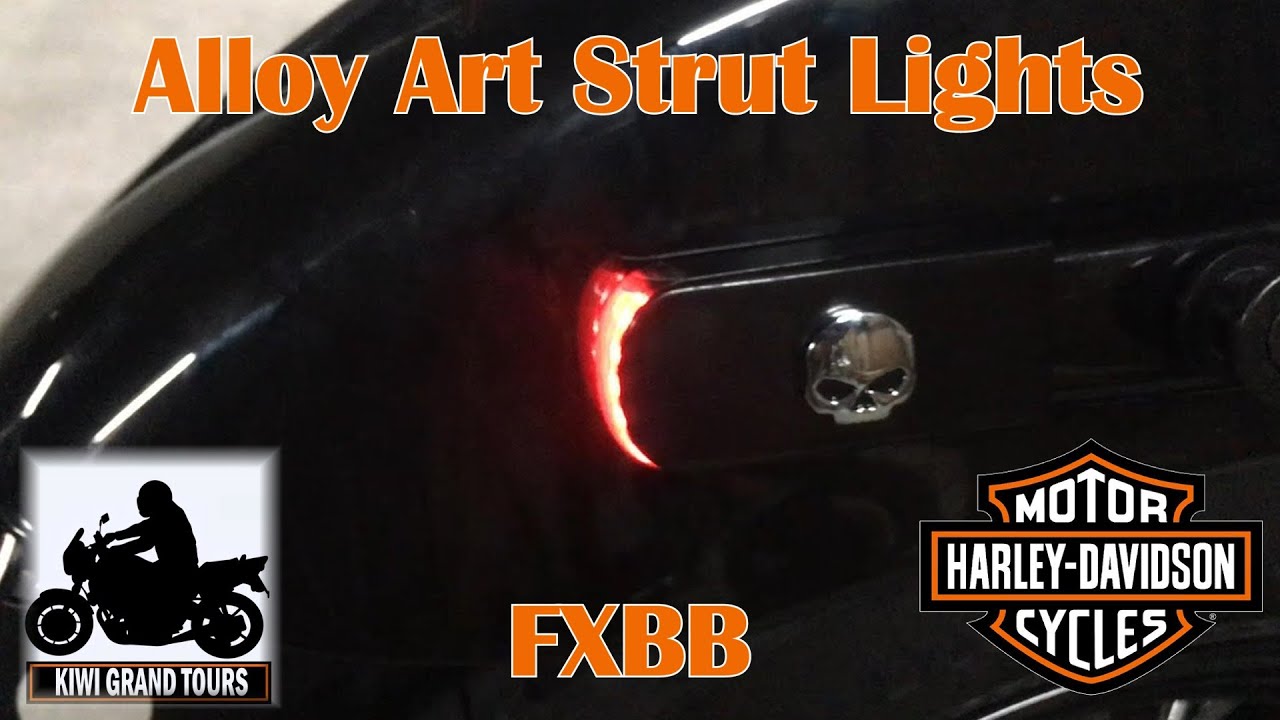 Alloy Art Strut Lights Fitted With Tail Tidy FXBB Street Bob