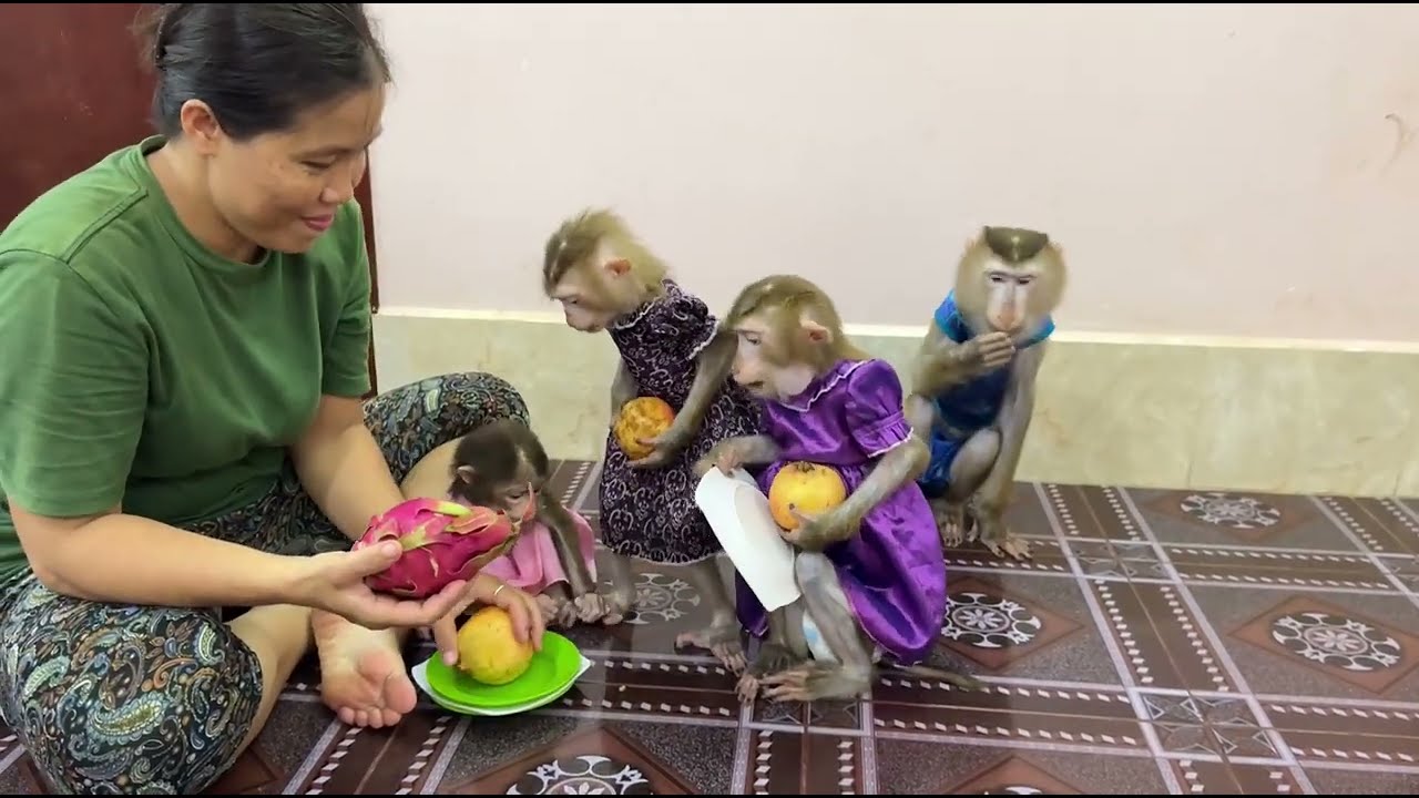 Happy time to eat 4 sibling hold habit fruit one by one give to mom for slice to eat .