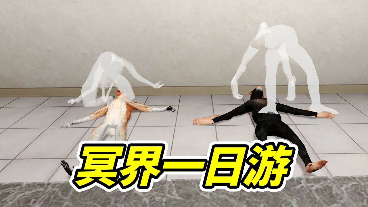小弟離奇死亡，狒狒勇闖冥界！- | 勾魂公狒狒