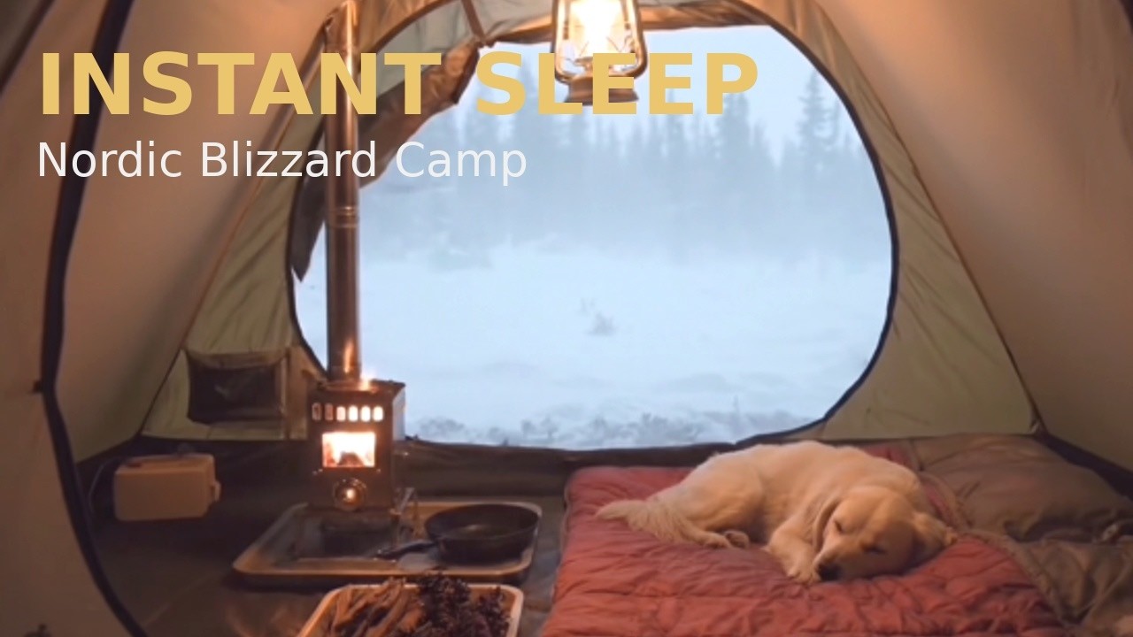 INSTANT SLEEP in a Nordic Blizzard ❄️ Cozy Campfire Tent with Sleeping Dog 북유럽 눈보라 속 불멍 캠프