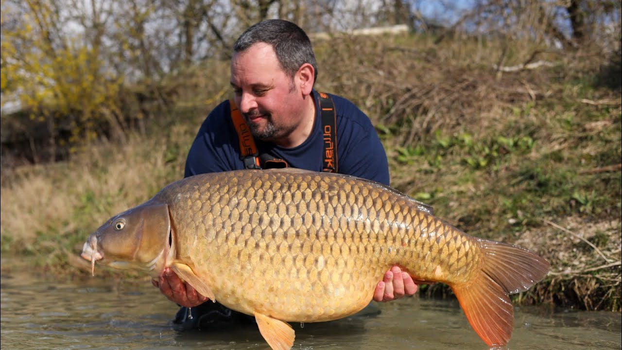 Stevenage bait and tackle New service