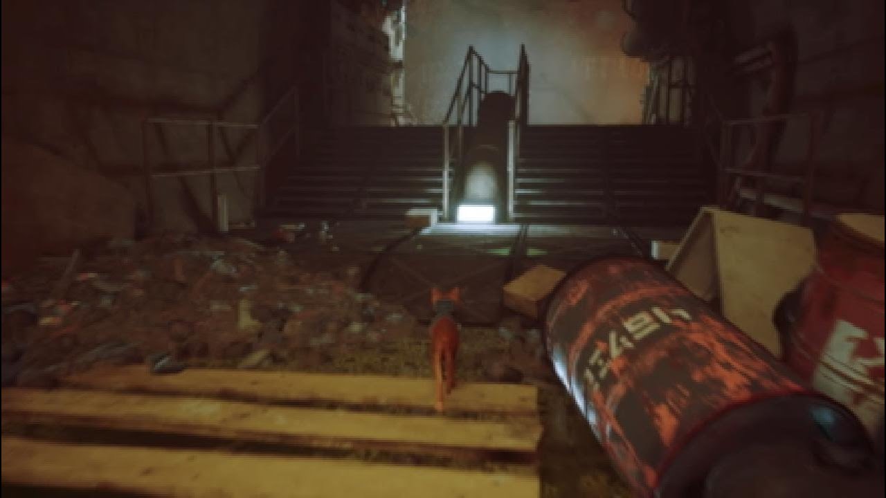 Stray escaping the sewers.