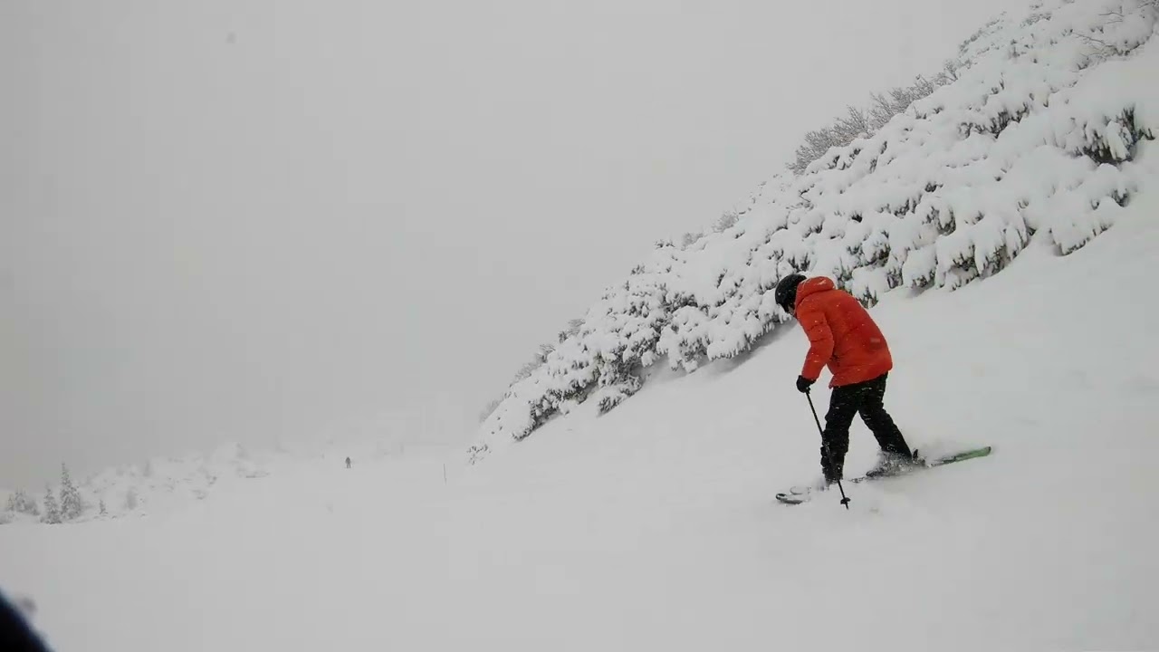 Amateur learning to ski in a Blizzard at Vogel