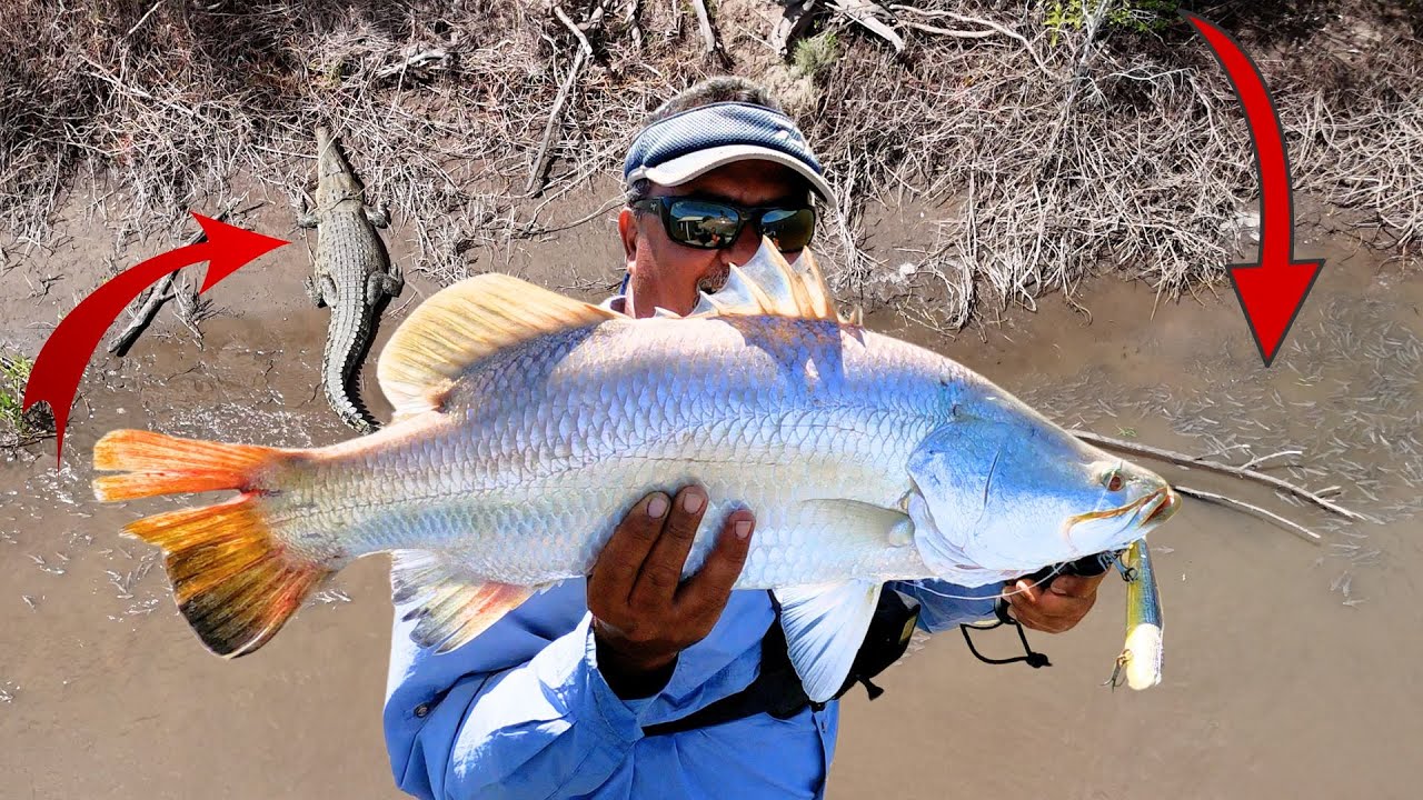 ORD RIVER SALTWATER BARRAMUNDI SOLO CAMPING OUT DAY2…