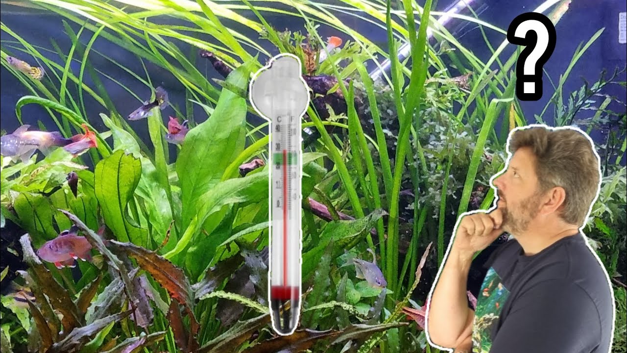 What is the BEST TEMPERATURE for my AQUARIUM?