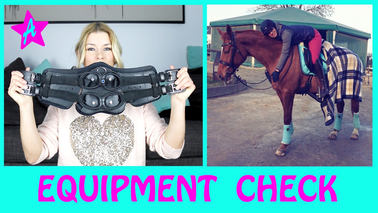 neuer Sattelgurt für Wölbchen I Stübben Equi Soft Review I Pferde EQUIPMENT CHECK