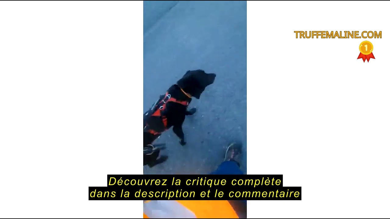 Avis sur la Longe de Traction Confort Trek I-DOG (Marque Française) réglable 178/235cm Rouge, canicr