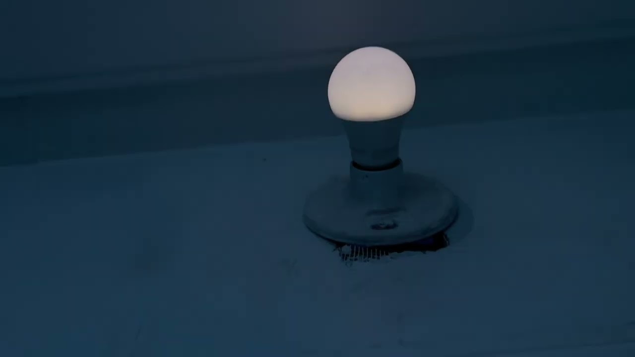 All the light switches in my old house(LATE)