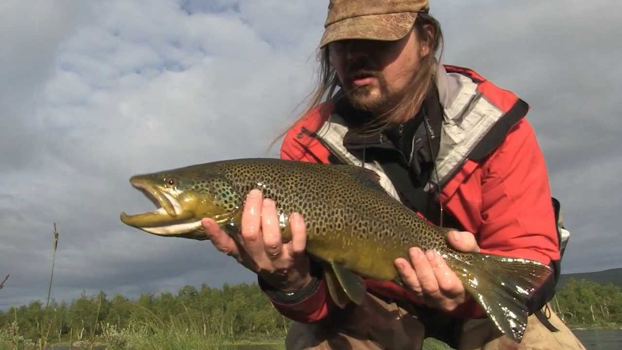Troutfishing in Lapland Sweden