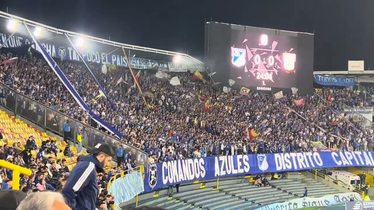 COMANDO AZULES D.C. 2024