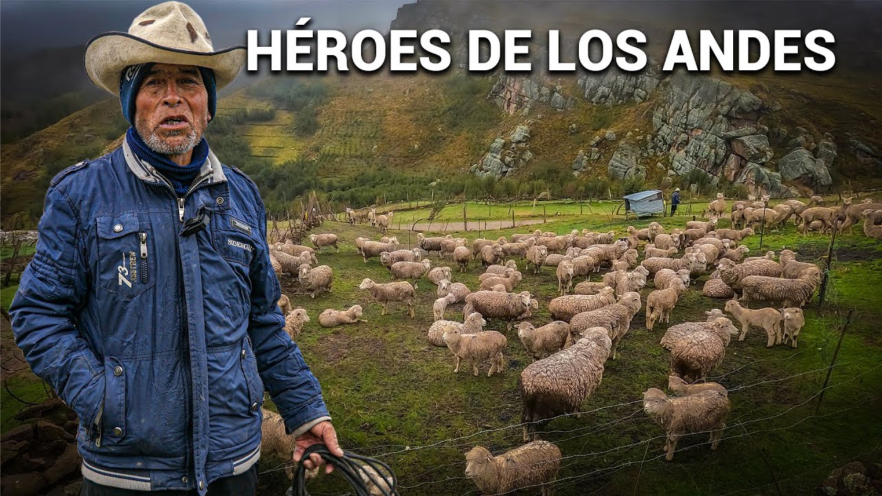 La VIDA DEL HOMBRE ANDINO Y SUS ANIMALES en una de las comunidades más altas del mundo: Pasco 1