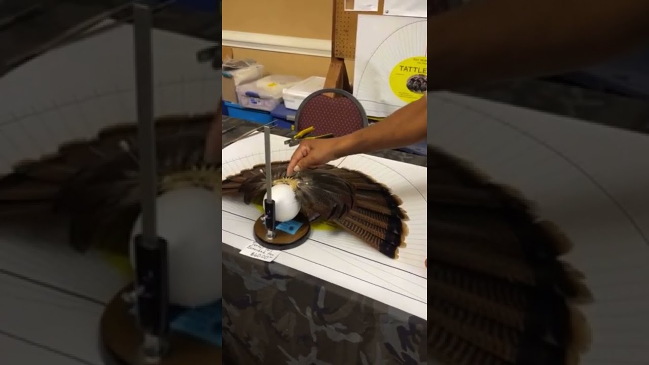 Ray Murphy's Original Tailevator by Birds Only Taxidermy