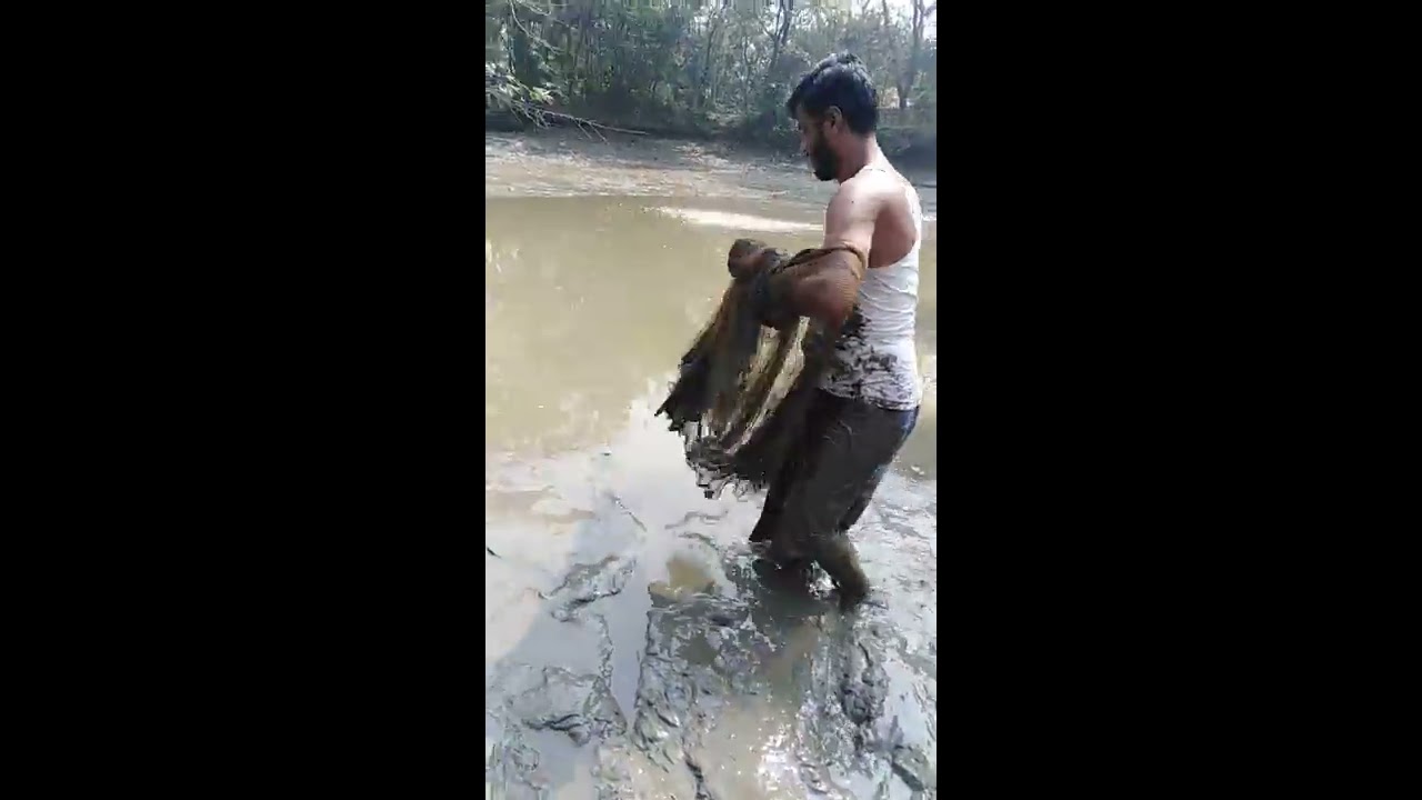 Catching Fish Elbow Net ! Mach dora colche | gram banglar pukure mach dora