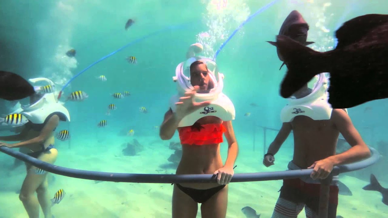 Sea Trek&reg; | Xel-H&aacute; Park, Acuario Natural Todo Inclu&iacute;do en Tulum