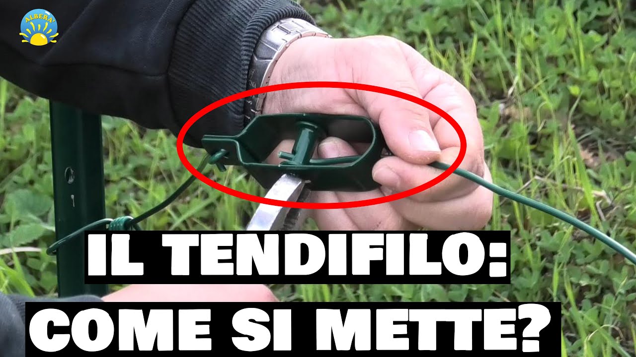 (recinto) IL TENDIFILO, come si mette a regola d'arte !!!