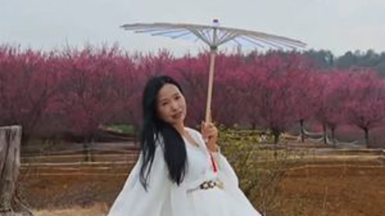 梅开正艳，水库相映鹭鸶岗，赏梅胜地 浙江省绍兴市新昌县沃洲镇梅林山村，地处黄泥岗上，自古岗上多梅花，故名梅林山村。村庄周围及道路两边，现有两万多株梅花树分布，连绵成片，与美丽的钦寸水库相映成景...