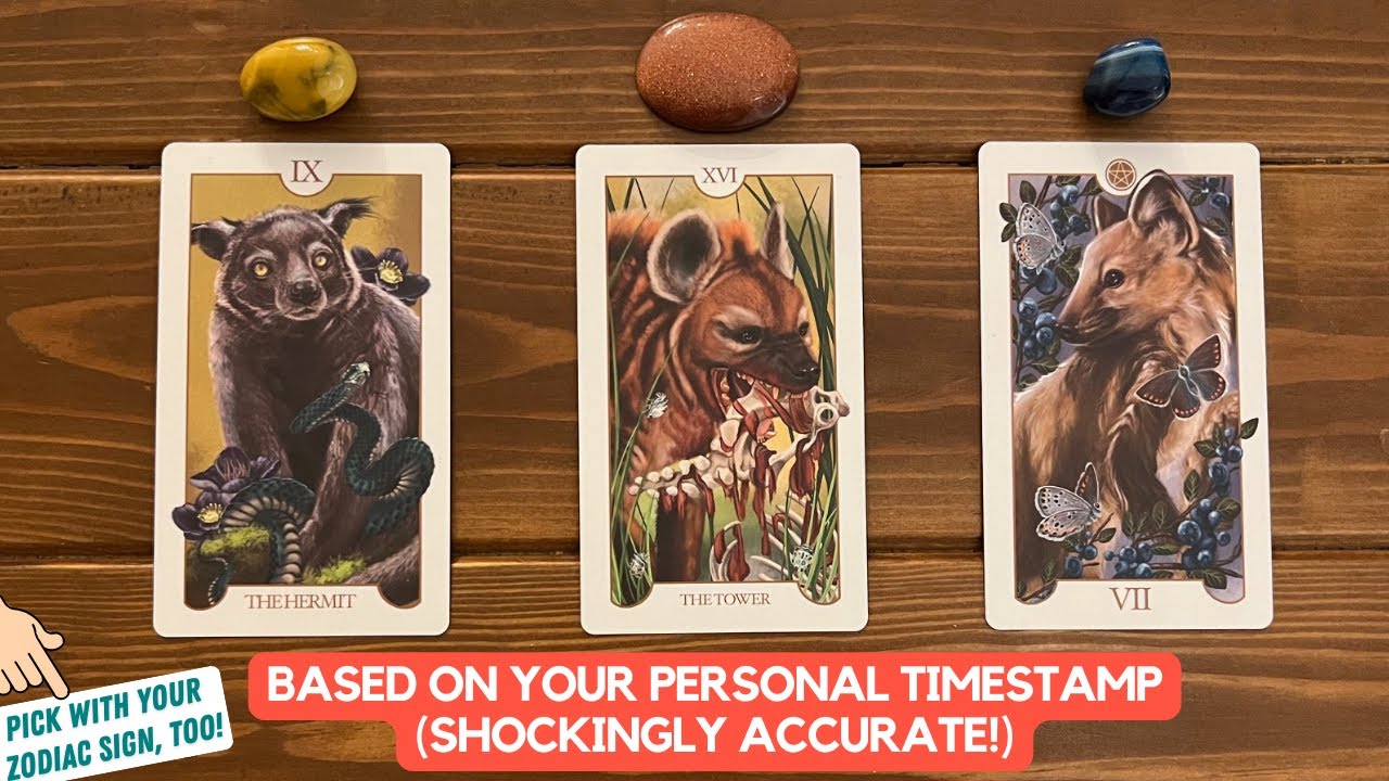 What's Your Future? | Timeless Reading