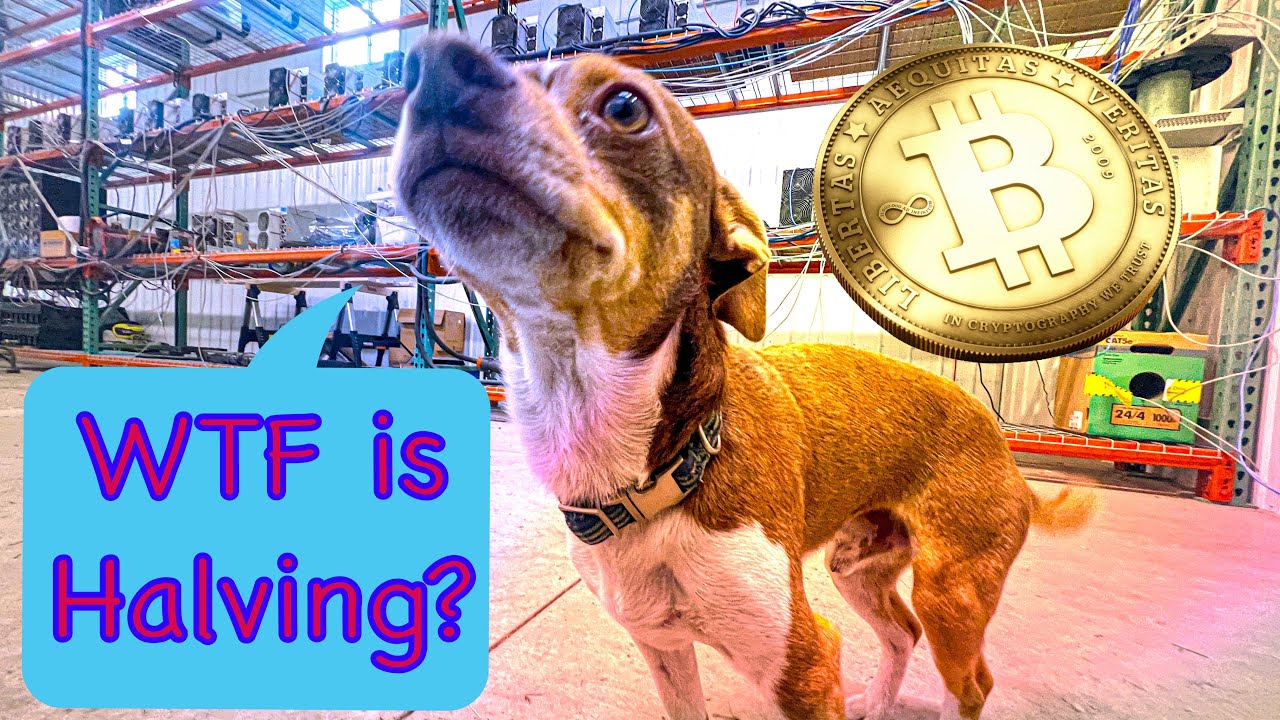 Update: What&rsquo;s Halvening to Bitcoin?